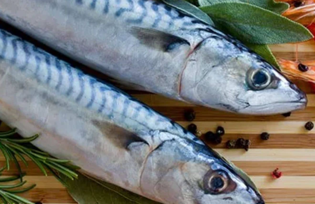 verse-makreel-gezond